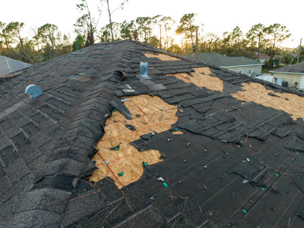 Roof Moss and Algae Removal in Pewee Valley, KY